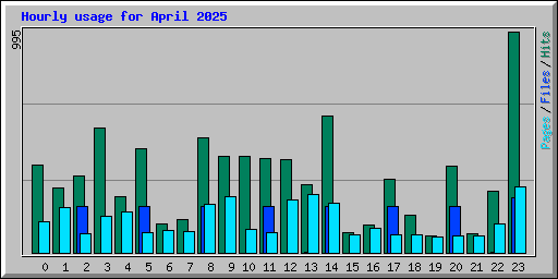 Hourly usage for April 2025