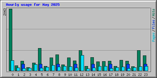 Hourly usage for May 2025