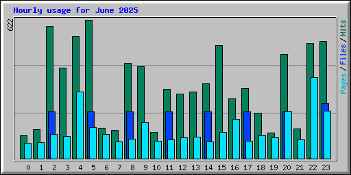 Hourly usage for June 2025