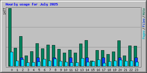 Hourly usage for July 2025