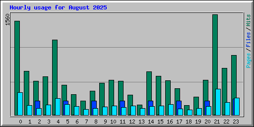 Hourly usage for August 2025