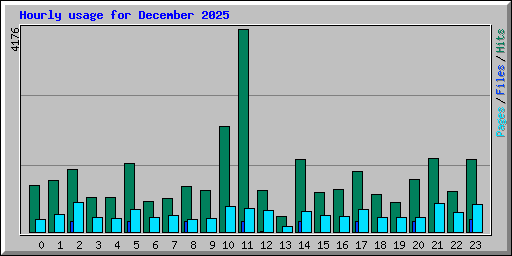 Hourly usage for December 2025