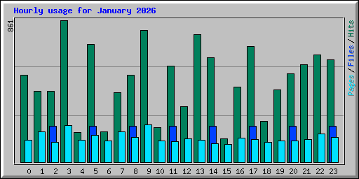 Hourly usage for January 2026