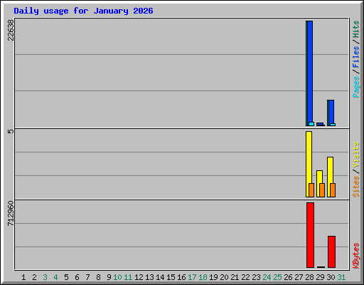 Daily usage for January 2026