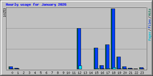 Hourly usage for January 2026