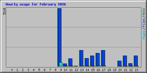 Hourly usage for February 2026